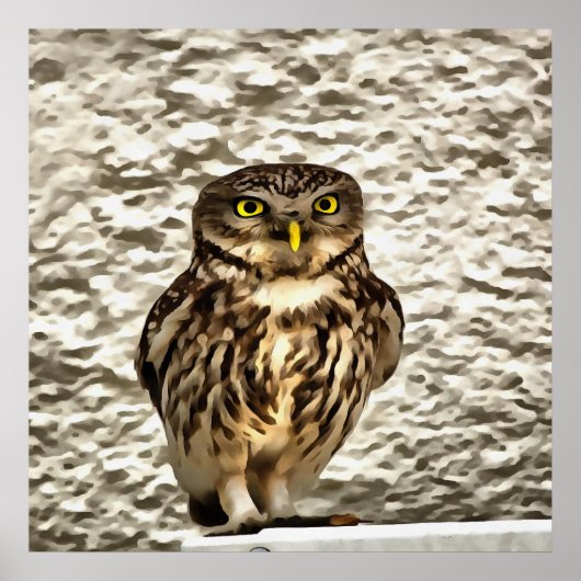 Small Brown Barn Owl Artistic Portrait ポスター (正面)