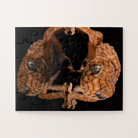 Small Cute Lizard Reptile with Reflection ジグソーパズル (横)