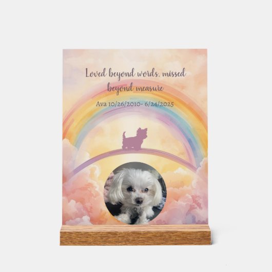Small Fluffy Dog Rainbow Bridge Memorial Acrylic アクリルサイン (正面)