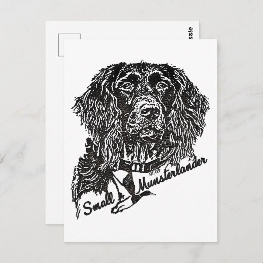 Small Munsterlander (ロゴ) ポストカード (正面/裏面)