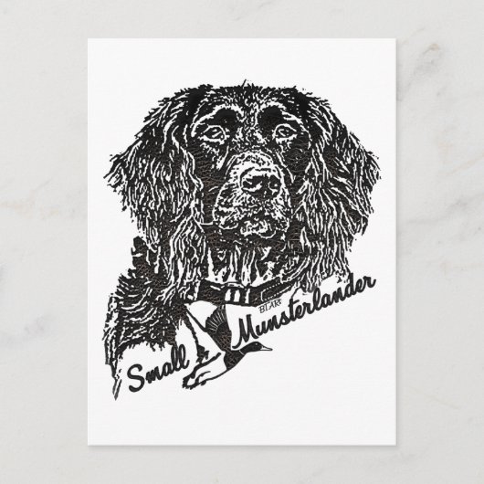 Small Munsterlander （ロゴ） ポストカード (正面)