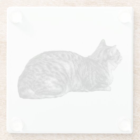Small Pause, Tabby Poise ガラスコースター (裏面)