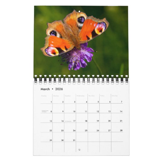 Small Size Beautiful Butterflies Calendar カレンダー (3月 2026)