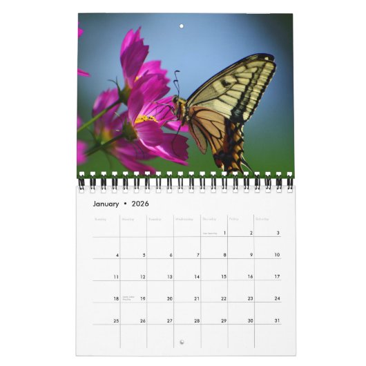 Small Size Beautiful Butterflies Calendar カレンダー (1月 2026)