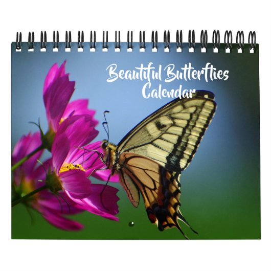 Small Size Beautiful Butterflies Calendar カレンダー (カバー)