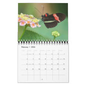 Small Size Beautiful Butterflies Calendar カレンダー (2月 2026)