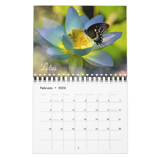 Small Size Beautiful Flowers Calendar カレンダー (2月 2026)