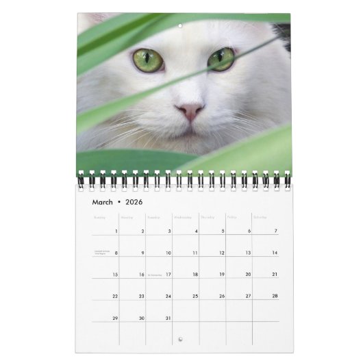 Small Size Cat Lovers Calendar カレンダー (3月 2026)