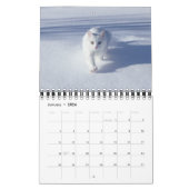 Small Size Cat Lovers Calendar カレンダー (1月 2026)