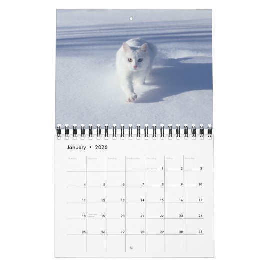 Small Size Cat Lovers Calendar カレンダー (1月 2026)
