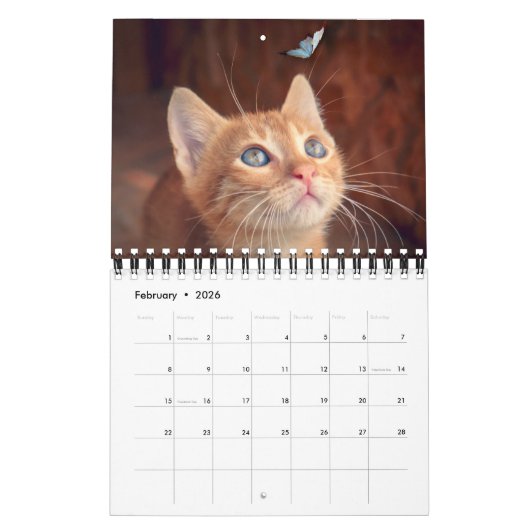 Small Size Cat Lovers Calendar カレンダー (2月 2026)