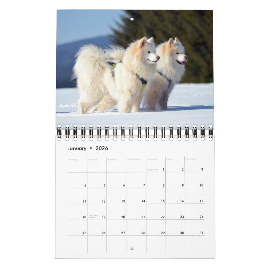 Small Size Dog Lovers Calendar カレンダー (1月 2026)