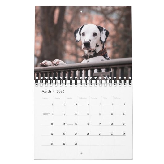 Small Size Dog Lovers Calendar カレンダー (3月 2026)