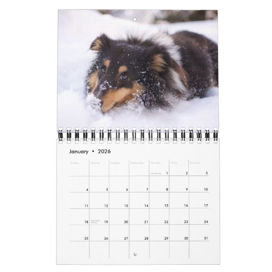 Small Size Dog Lovers Calendar カレンダー (1月 2026)