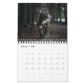 Small Size Dog Lovers Calendar カレンダー (2月 2026)