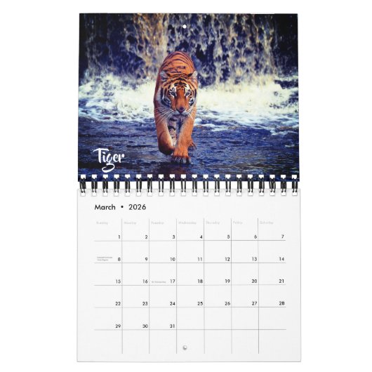 Small Size Exotic Animals Calendar カレンダー (3月 2026)