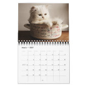 Small Size Kittens Calendar カレンダー (3月 2027)