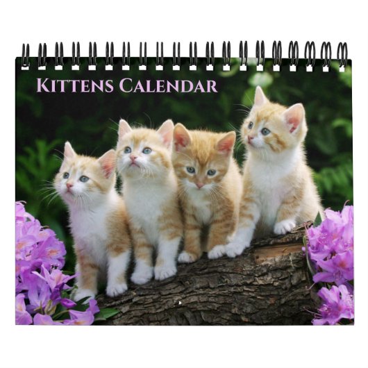 Small Size Kittens Calendar カレンダー (カバー)