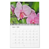 Small Size Orchids Calendar カレンダー (3月 2026)