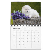 Small Size Puppy Love Calendar カレンダー (3月 2026)