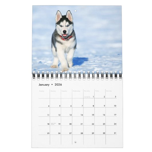 Small Size Puppy Love Calendar カレンダー (1月 2026)