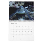 Small size Recommended! Mix Photo of Siquijor カレンダー (2月 2027)