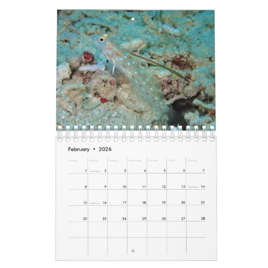 Small size Recommended! Underwater of Siquijor カレンダー (2月 2026)