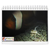 Small size Recommended! Underwater of Siquijor カレンダー (カバー)