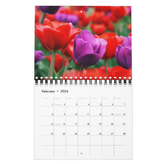 Small Size Tulips Calendar カレンダー (2月 2026)