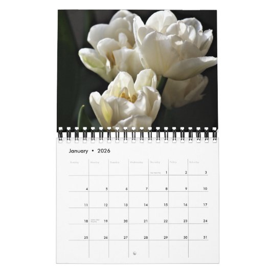 Small Size Tulips Calendar カレンダー (1月 2026)