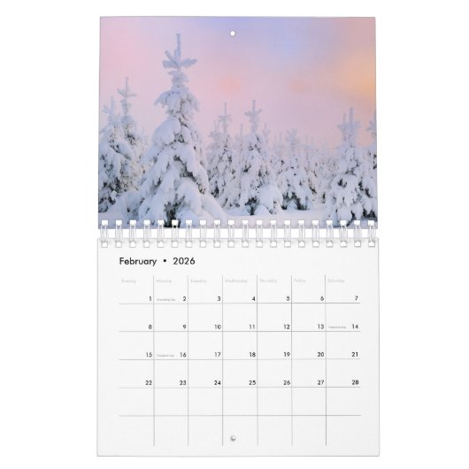 Small Size Winter Paradise Calendar カレンダー (2月 2026)