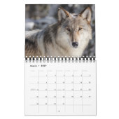 Small Size Yellowstone Calendar-Wildlife Calendar カレンダー (3月 2027)