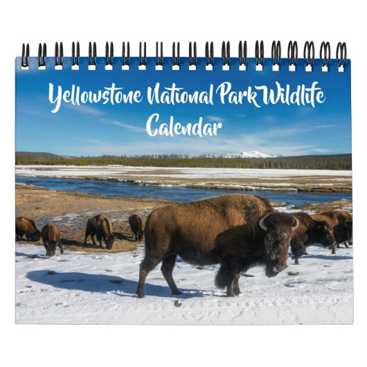 Small Size Yellowstone Calendar-Wildlife Calendar カレンダー (カバー)