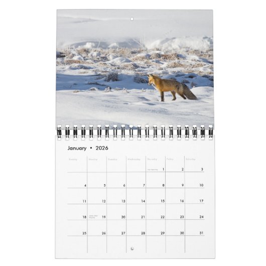 Small Size Yellowstone Park Calendar カレンダー (1月 2026)