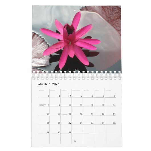 Small Water Lilies Calendar 2026 カレンダー (3月 2026)