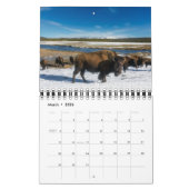 Small Yellowstone Park Calendar カレンダー (3月 2026)