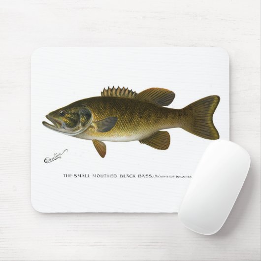 Smallmouth bass マウスパッド (マウス)