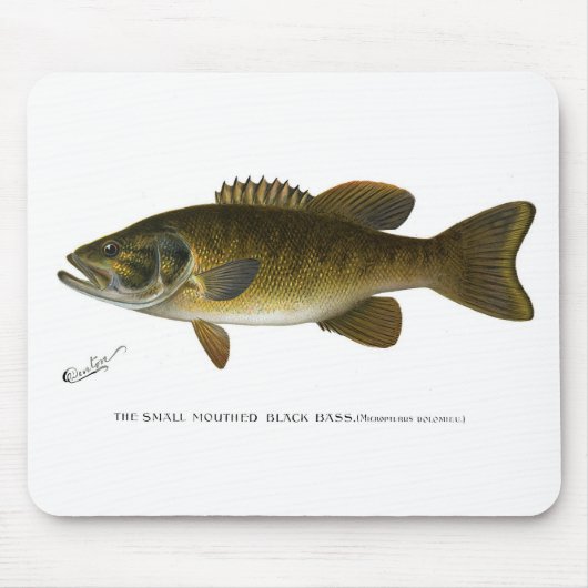 Smallmouth bass マウスパッド (正面)