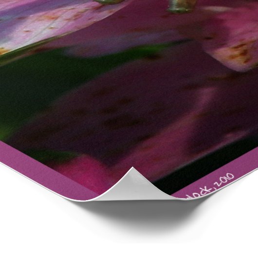 Smart Girls Poster ポスター (角)