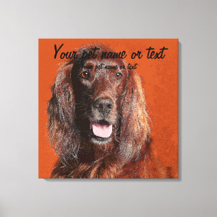 Smart Irish Setter Dog キャンバスプリント