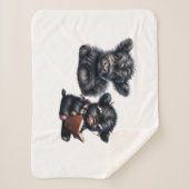 Smart Is The New Pretty シェルパブランケット (正面)