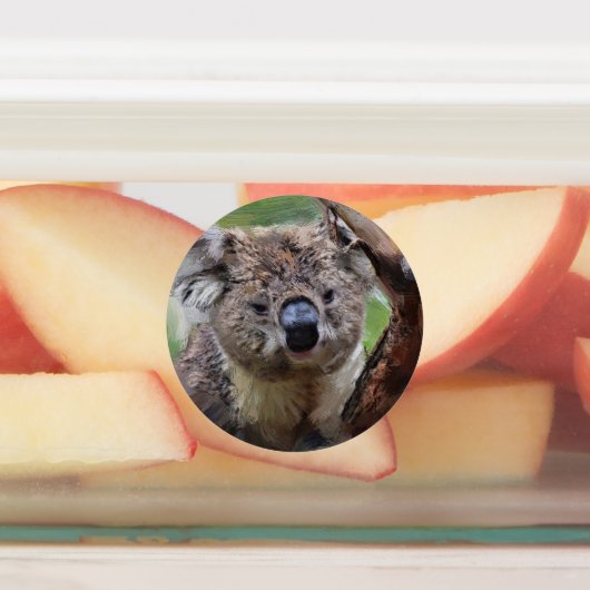 Smartmix動物1220 ラベル (貼付)