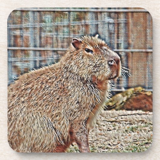 SmartMix動物 – カピバラ コースター (正面)