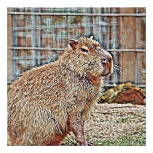 SmartMix動物 – カピバラ フォトプリント