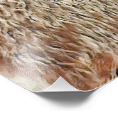 SmartMix動物 – カピバラ フォトプリント (角)