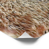 SmartMix動物 – カピバラ ポスター (コーナー)