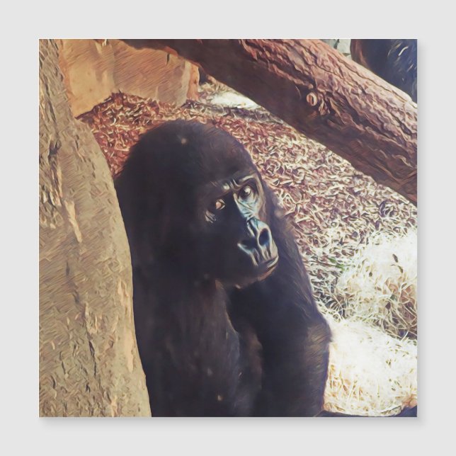 SmartMix動物 – ゴリラ (正面)