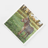 smartmix動物 – ロバ1 (コーナー)