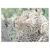 smartmix animal-leopard 2 テーブルクロス (正面(横))