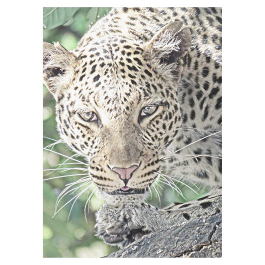 smartmix animal-leopard 2 テーブルクロス (正面)